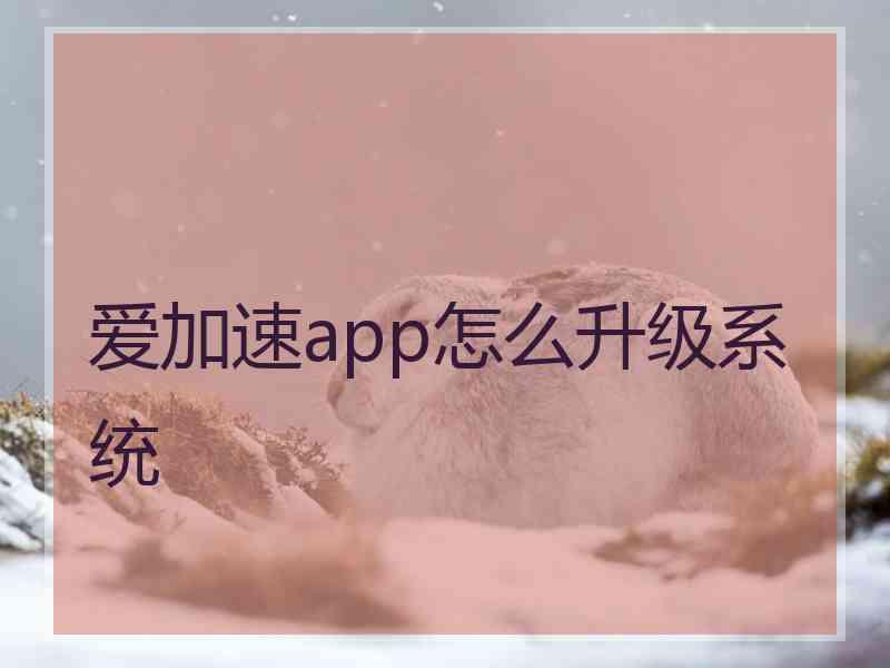 爱加速app怎么升级系统