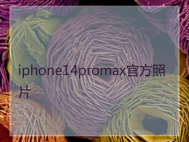 iphone14promax官方照片