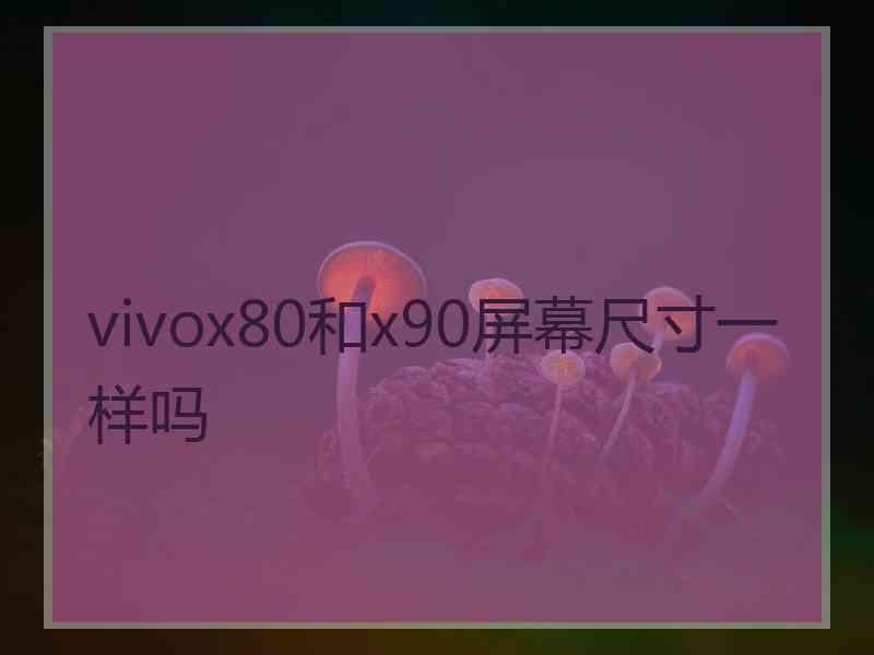 vivox80和x90屏幕尺寸一样吗