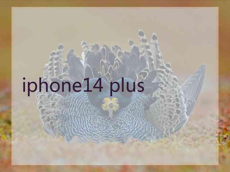 iphone14 plus