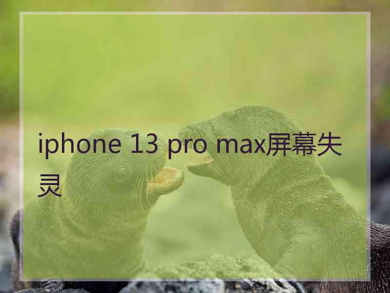 iphone 13 pro max屏幕失灵