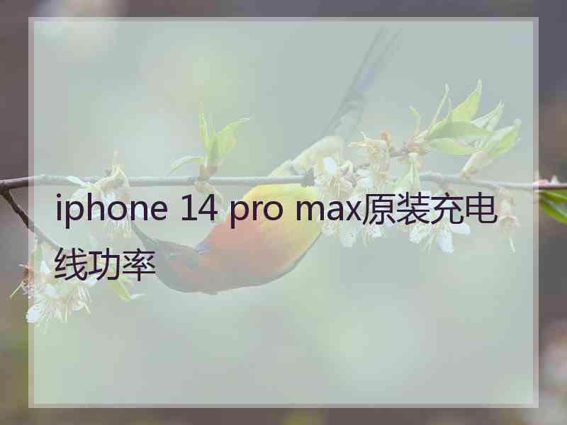 iphone 14 pro max原装充电线功率