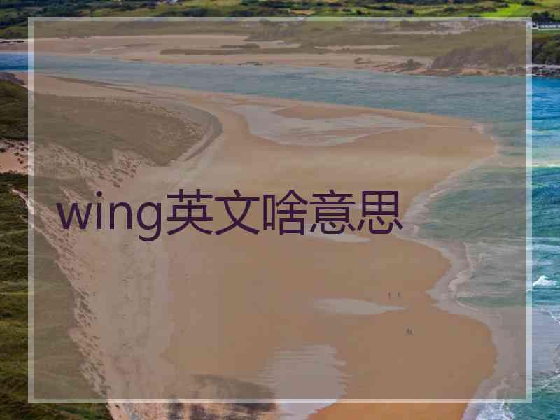 wing英文啥意思