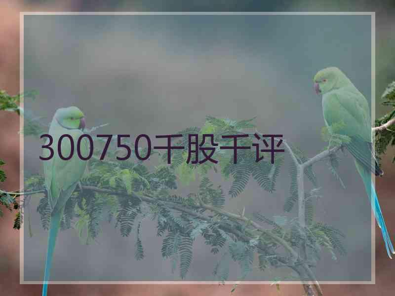 300750千股千评