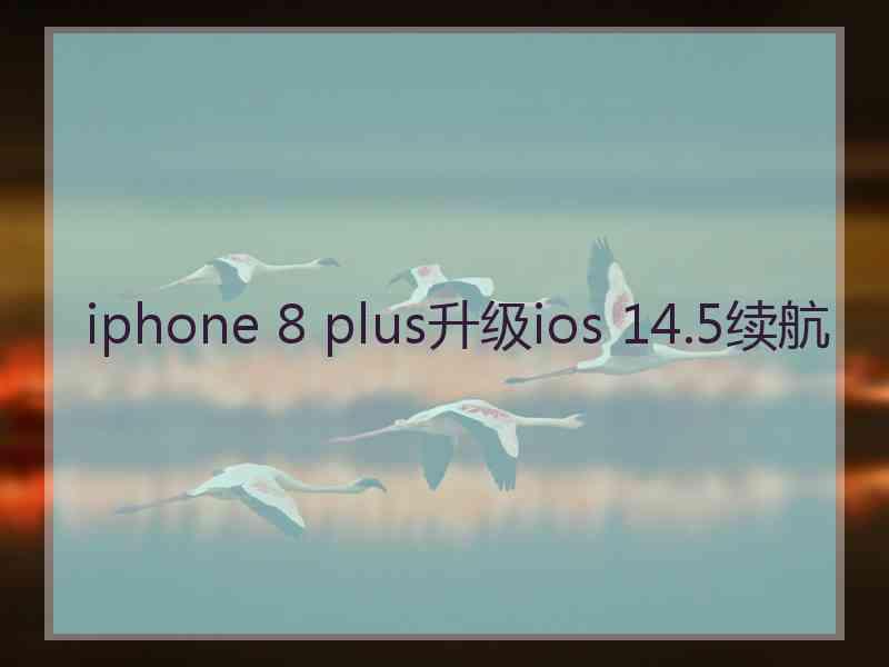 iphone 8 plus升级ios 14.5续航