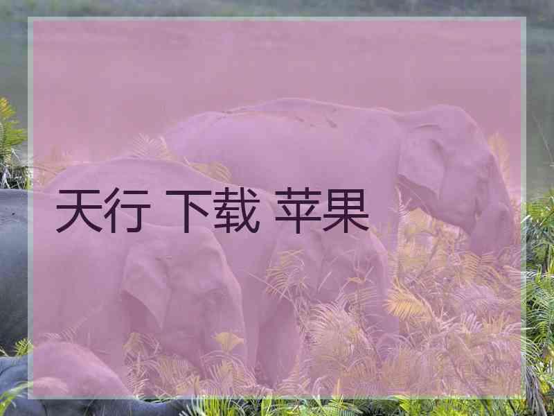 天行 下载 苹果