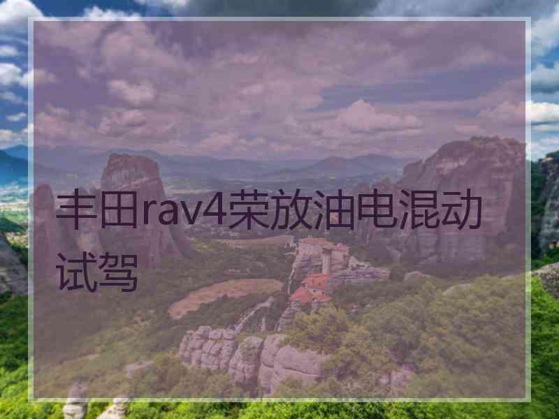 丰田rav4荣放油电混动试驾