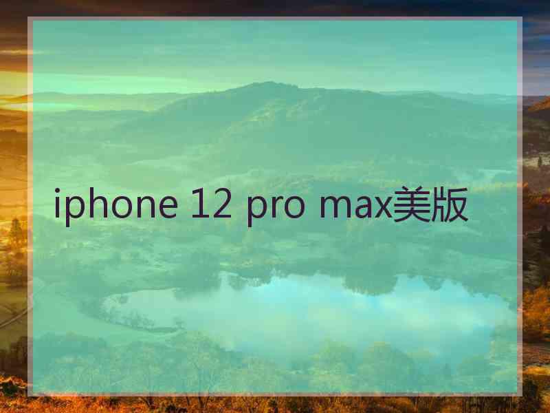 iphone 12 pro max美版