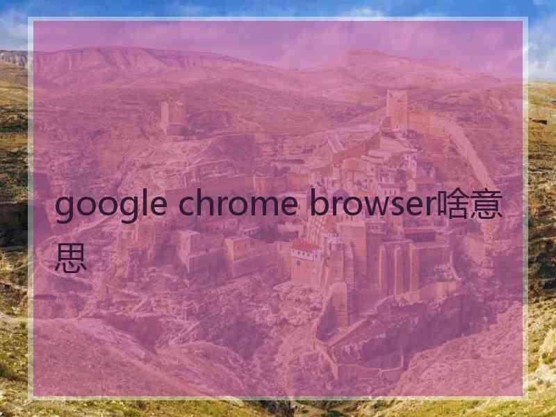 google chrome browser啥意思