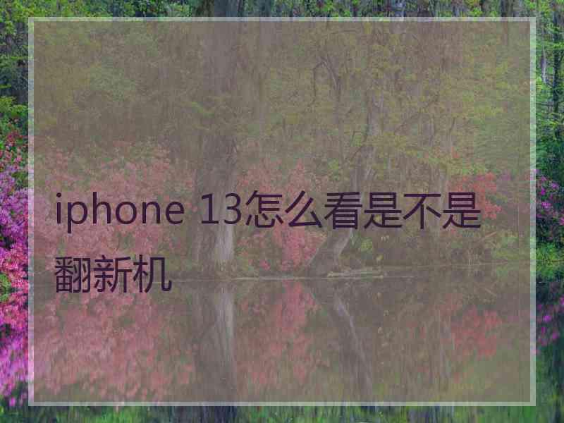 iphone 13怎么看是不是翻新机