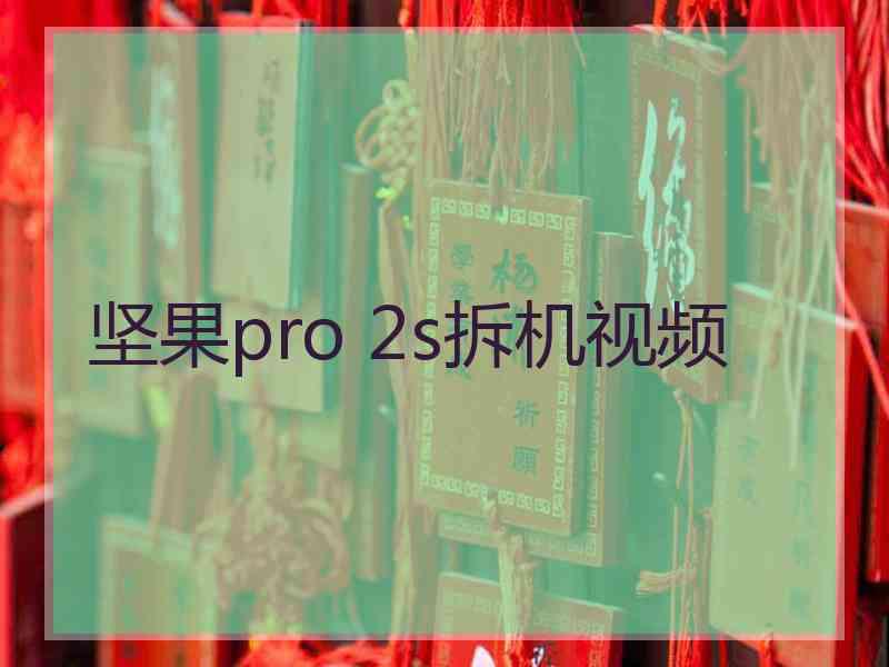 坚果pro 2s拆机视频