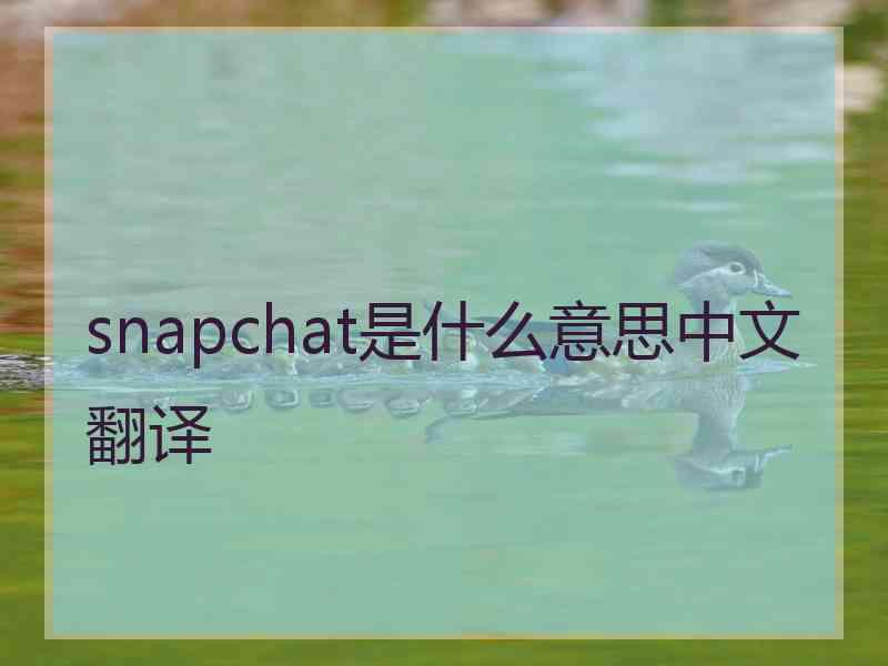 snapchat是什么意思中文翻译