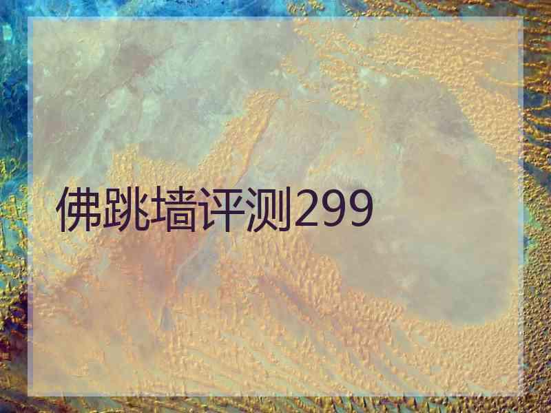 佛跳墙评测299