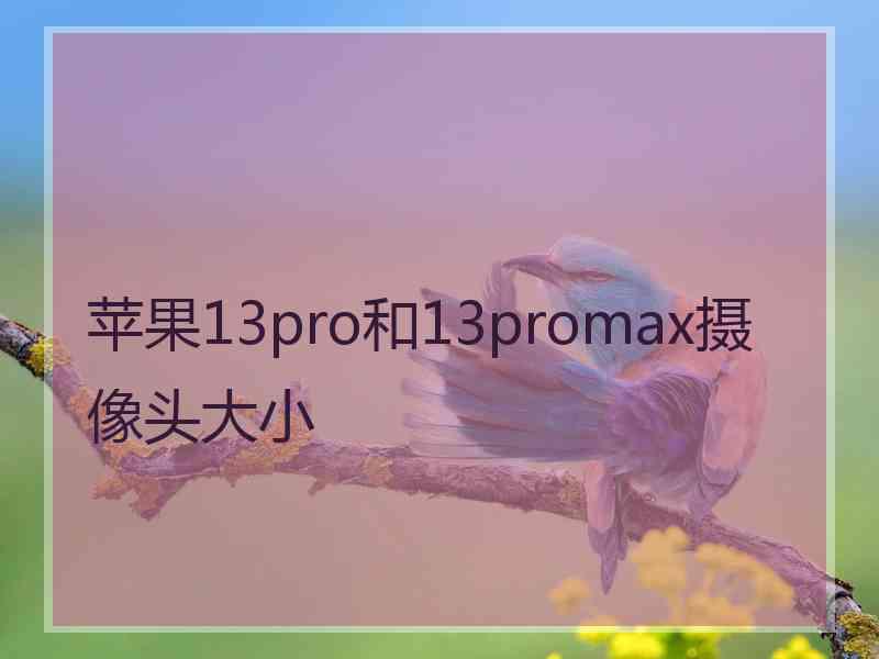 苹果13pro和13promax摄像头大小