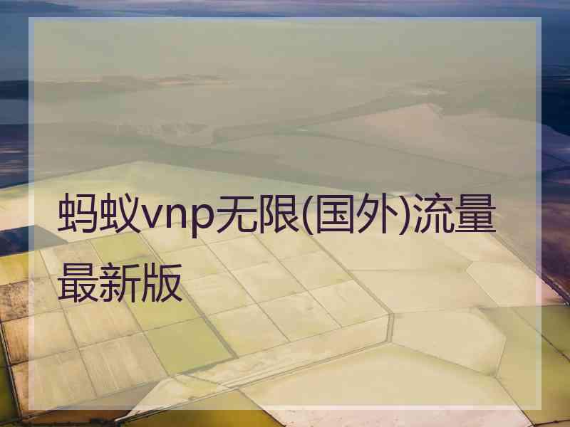 蚂蚁vnp无限(国外)流量最新版