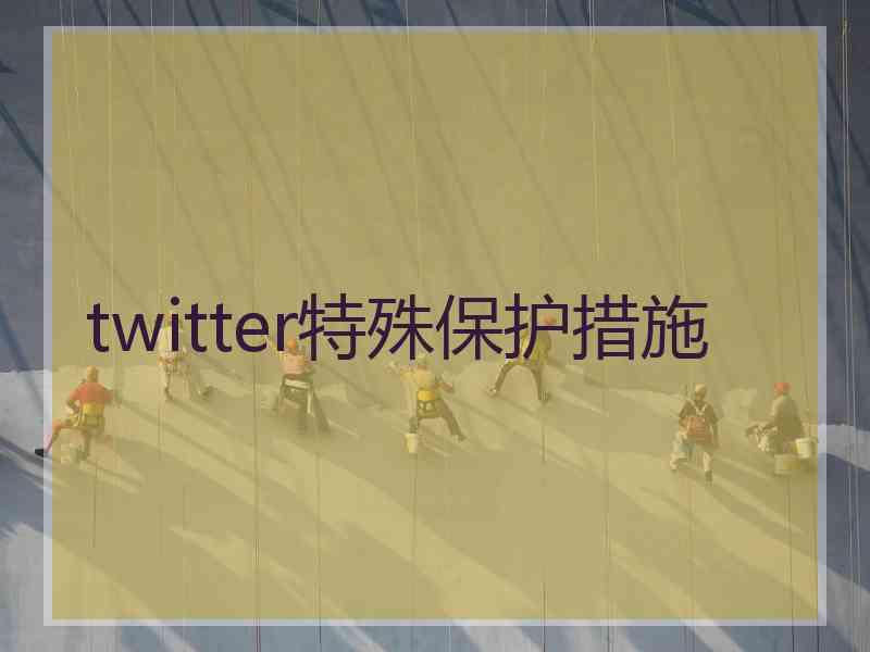 twitter特殊保护措施