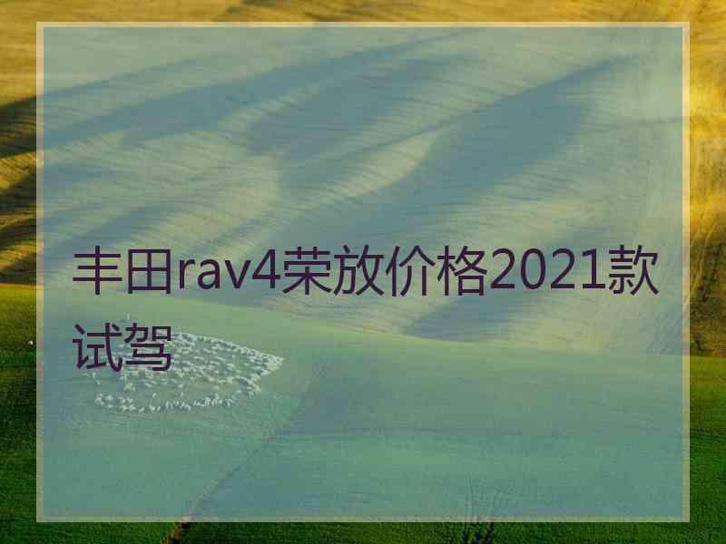 丰田rav4荣放价格2021款试驾