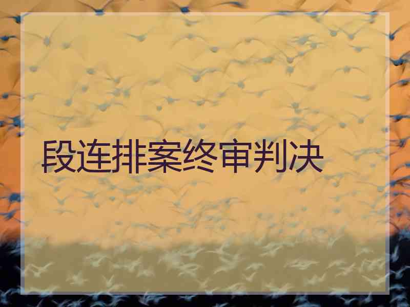 段连排案终审判决