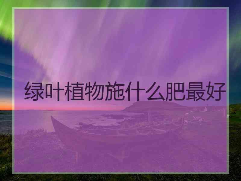 绿叶植物施什么肥最好