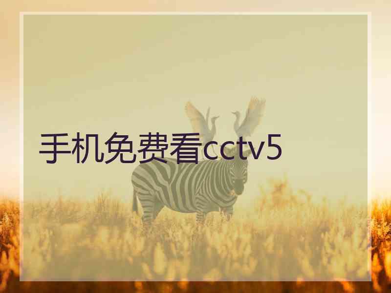 手机免费看cctv5