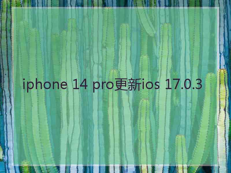 iphone 14 pro更新ios 17.0.3