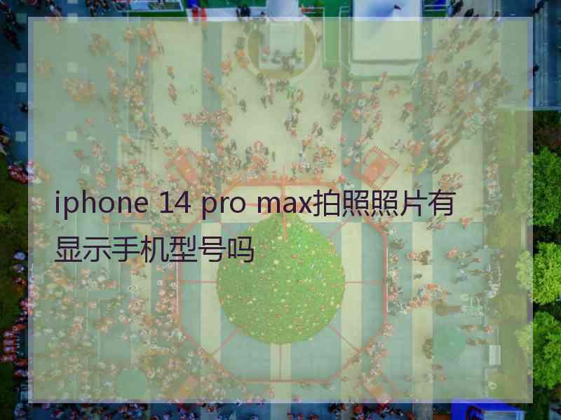 iphone 14 pro max拍照照片有显示手机型号吗