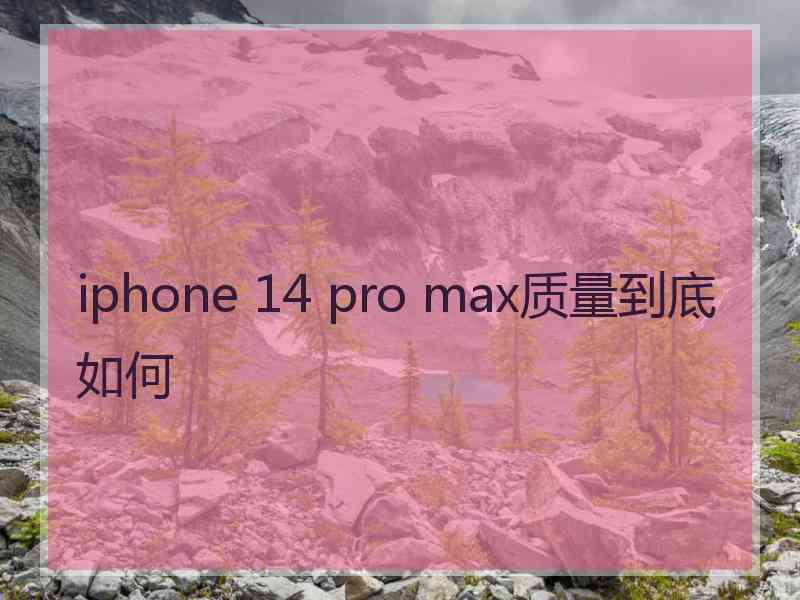 iphone 14 pro max质量到底如何