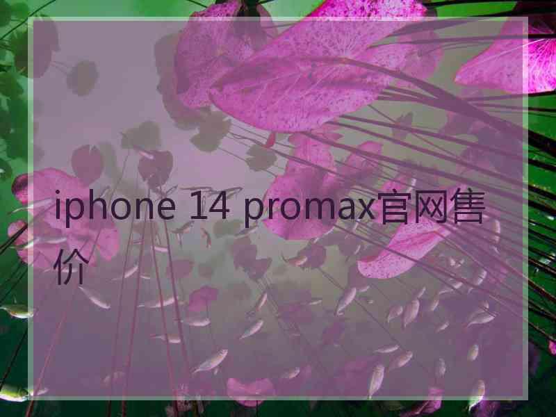 iphone 14 promax官网售价