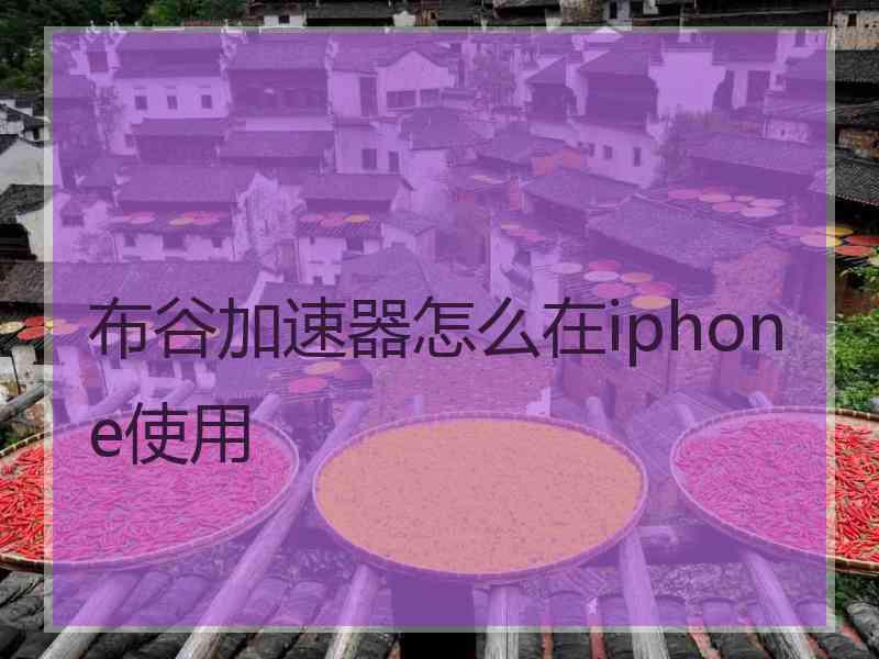 布谷加速器怎么在iphone使用