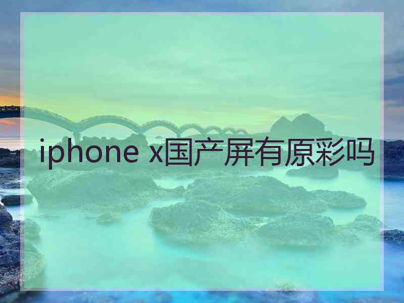 iphone x国产屏有原彩吗