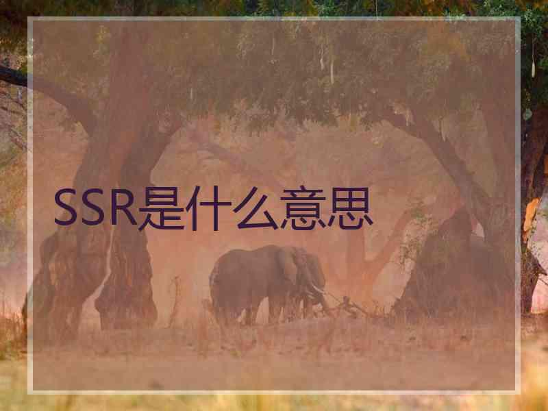 SSR是什么意思