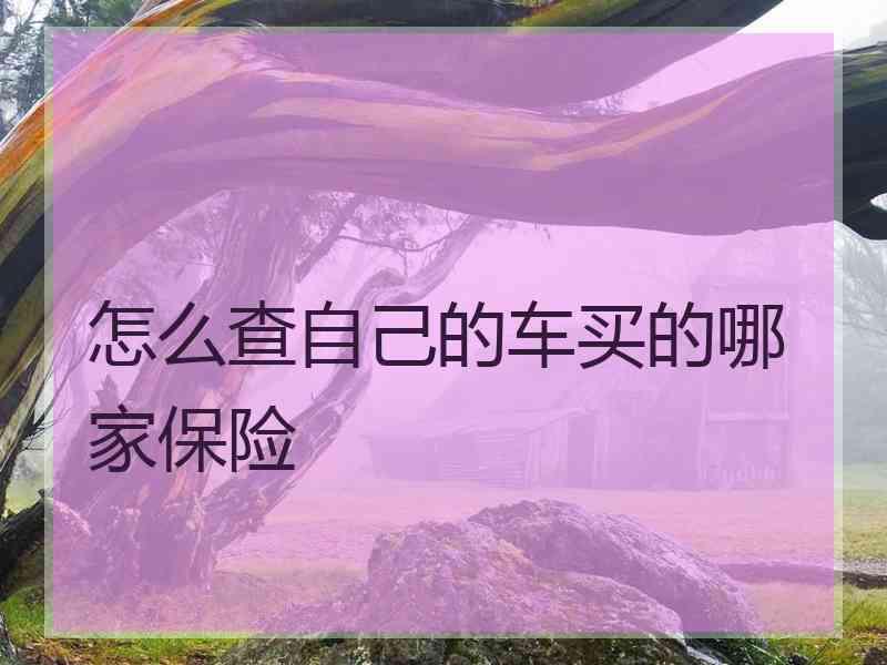 怎么查自己的车买的哪家保险