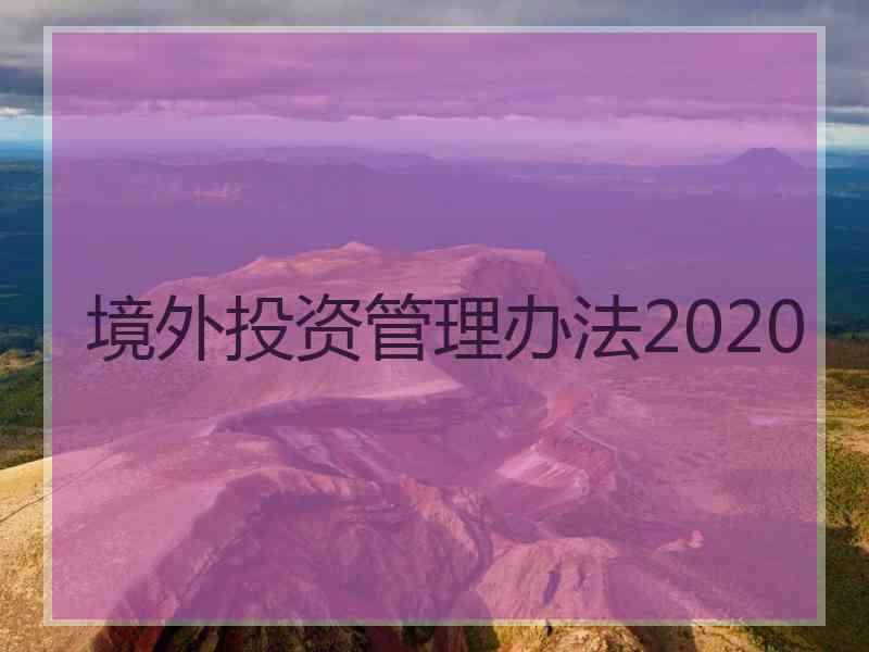 境外投资管理办法2020