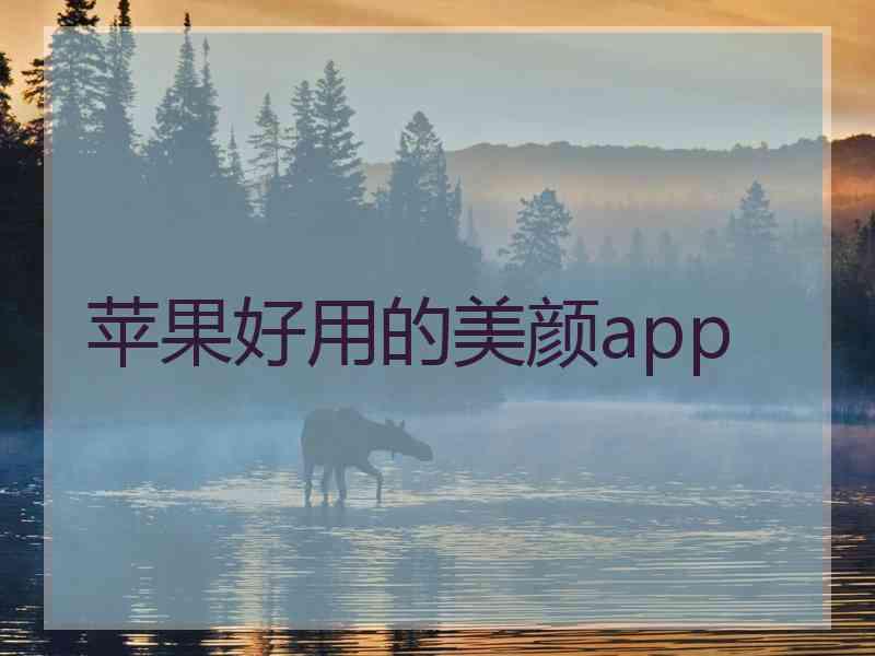 苹果好用的美颜app