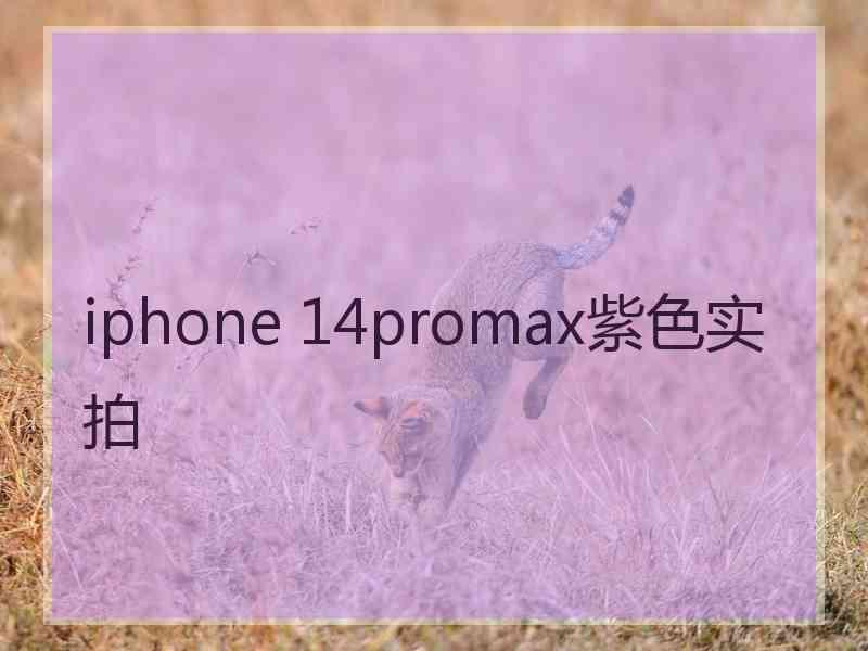 iphone 14promax紫色实拍