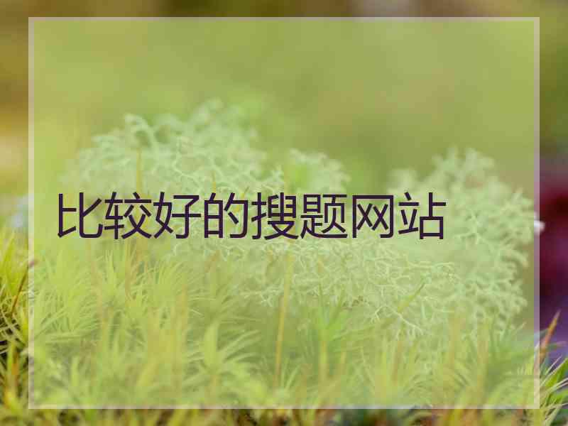 比较好的搜题网站
