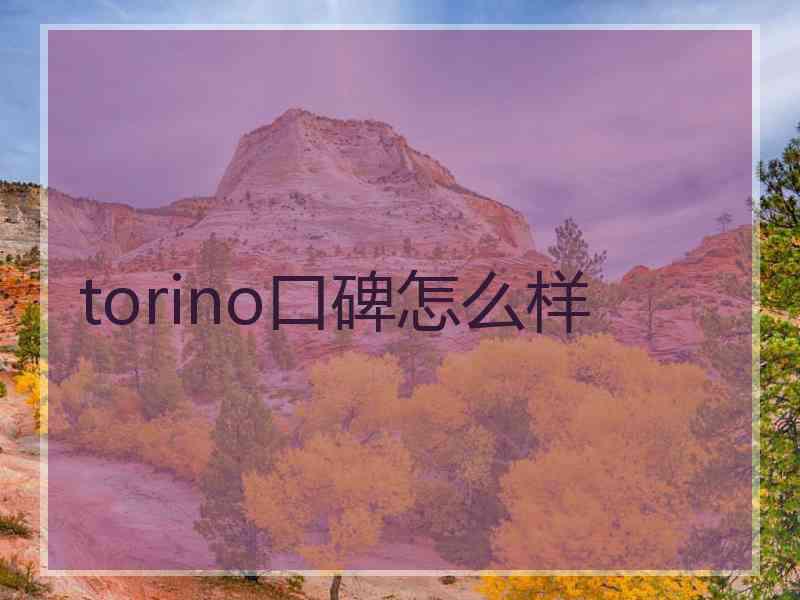 torino口碑怎么样