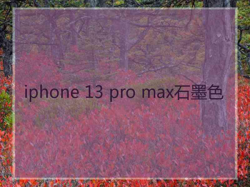 iphone 13 pro max石墨色