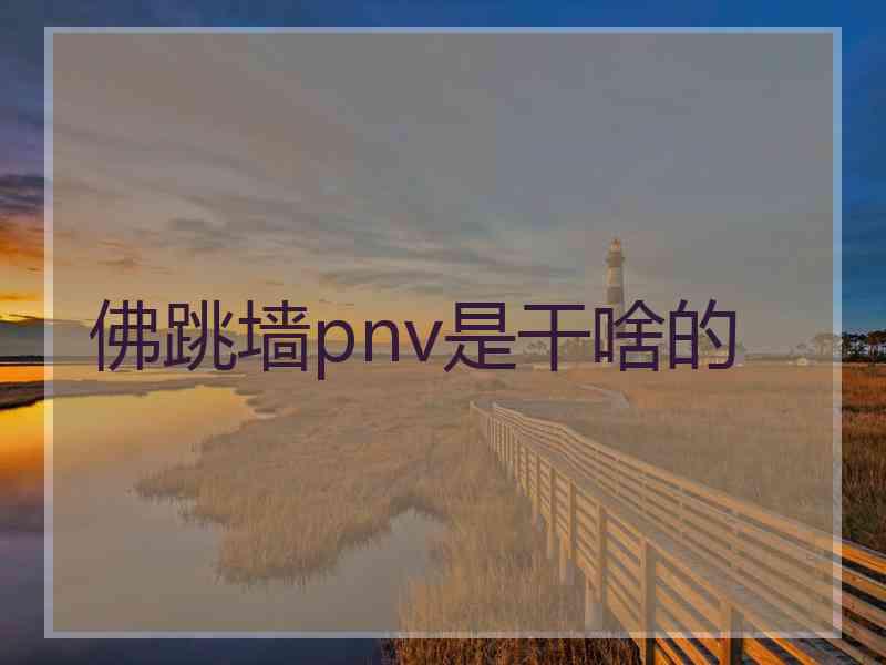 佛跳墙pnv是干啥的