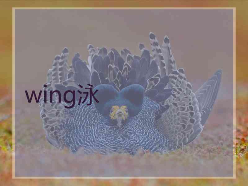 wing泳