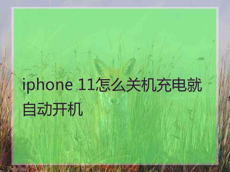 iphone 11怎么关机充电就自动开机