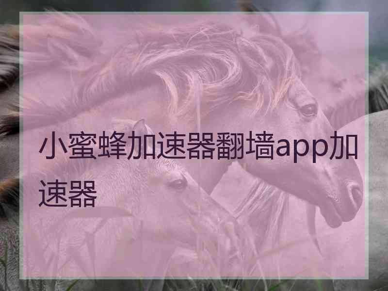 小蜜蜂加速器翻墙app加速器