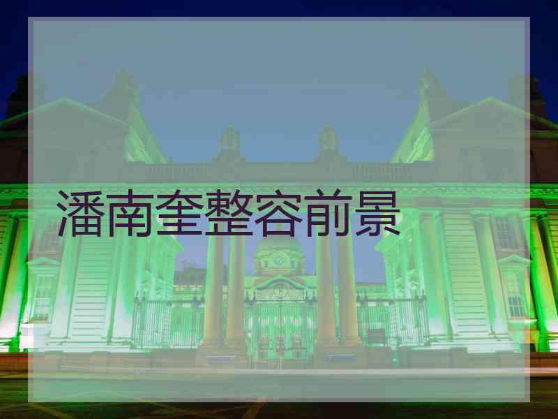 潘南奎整容前景