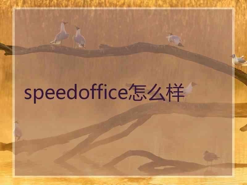 speedoffice怎么样