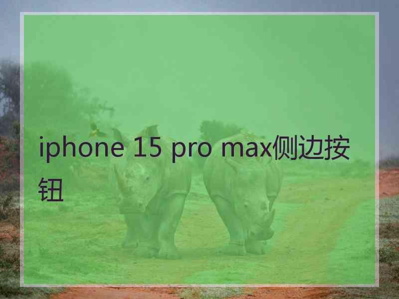 iphone 15 pro max侧边按钮