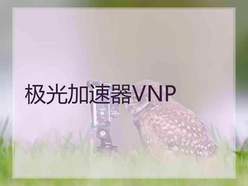 极光加速器VNP