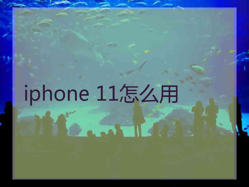 iphone 11怎么用