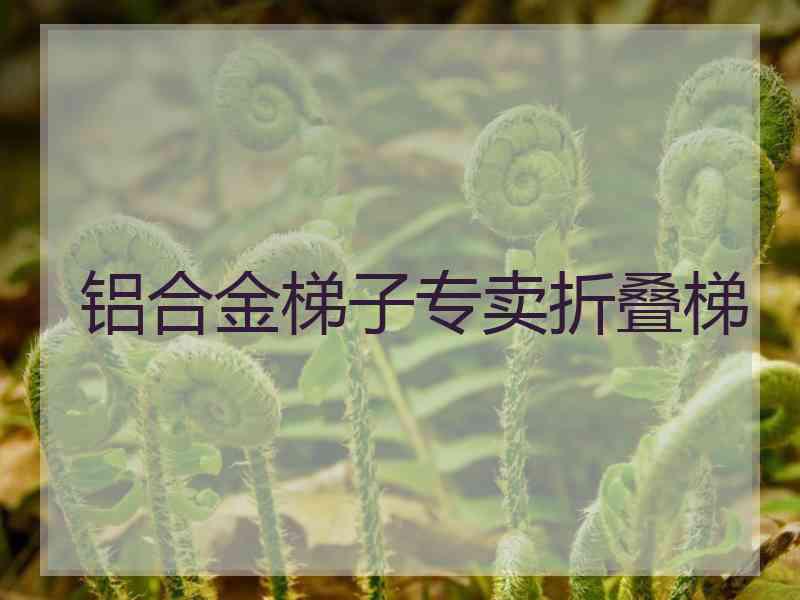 铝合金梯子专卖折叠梯