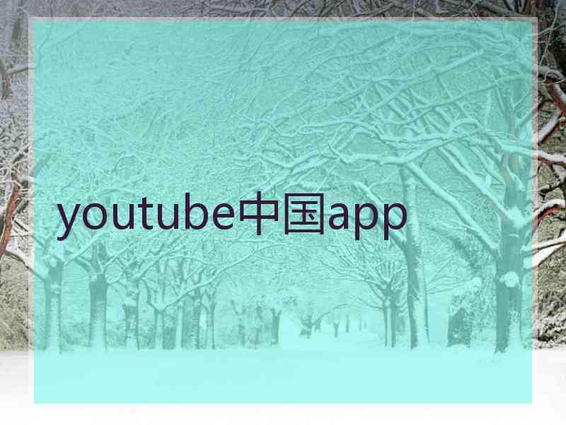 youtube中国app