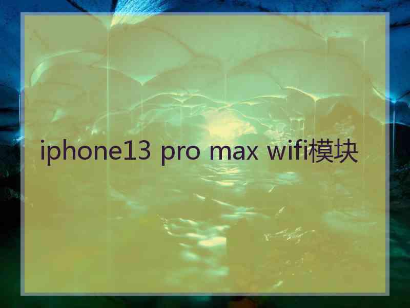 iphone13 pro max wifi模块